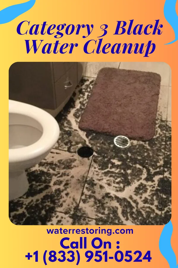 Category 3 Black Water Cleanup in Bressler, PA