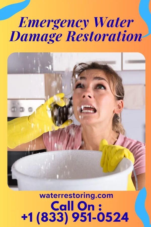 Emergency Water Damage Restoration in Bressler, PA