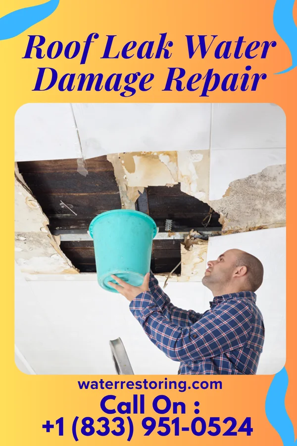 Roof Leak Water Damage Repair in Bressler, PA