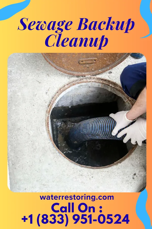 Sewage Backup Cleanup in Bressler, PA