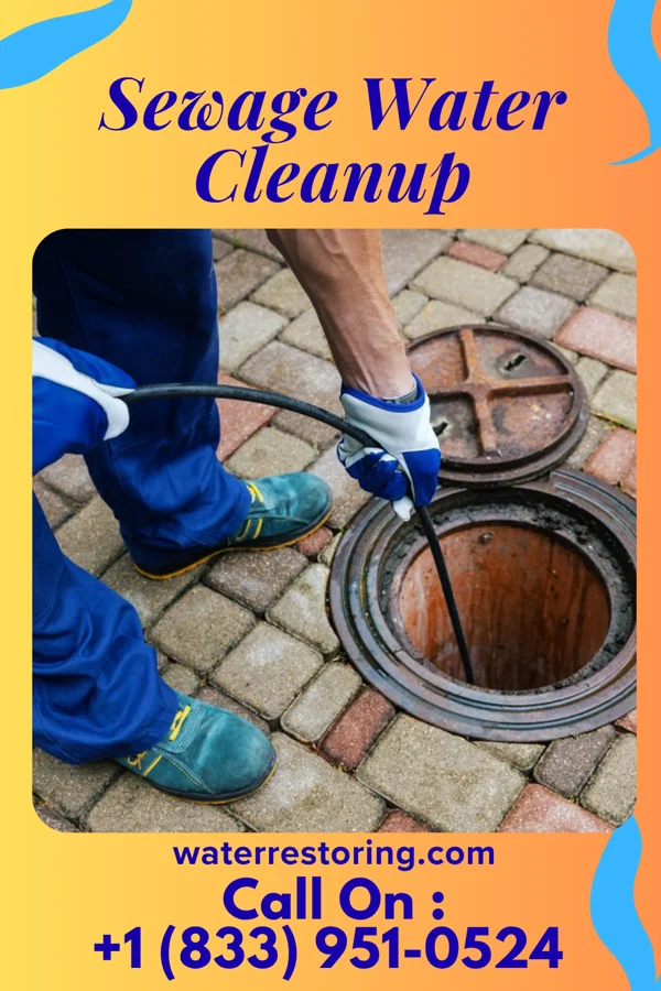 Sewage Water Cleanup in Bressler, PA